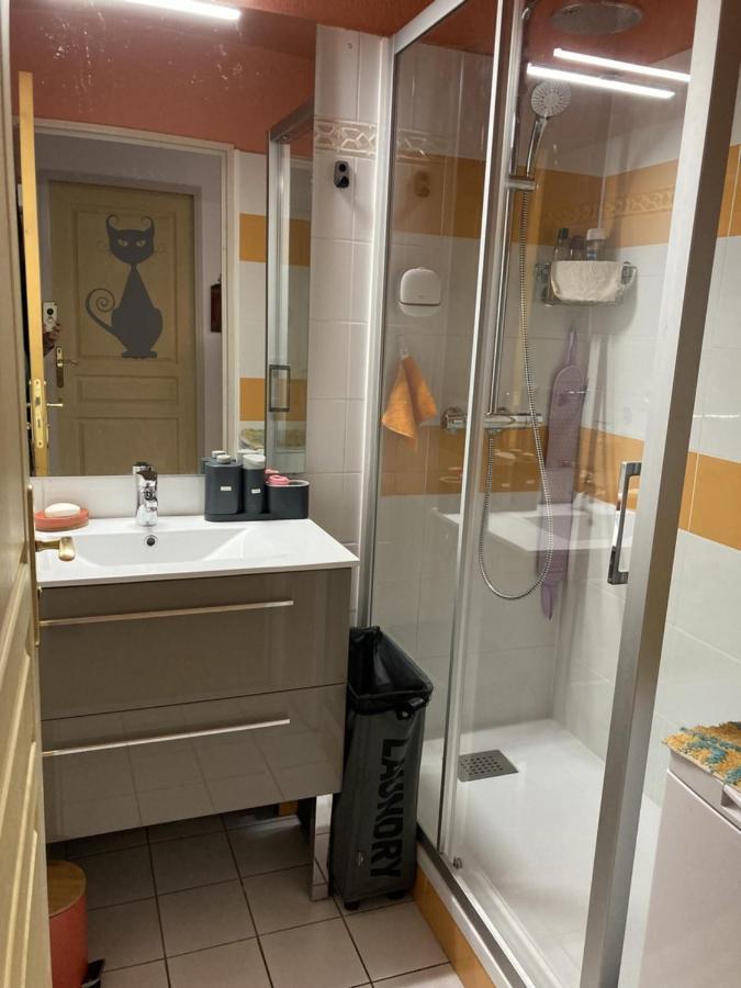 Appartement Tres Agreable Dans Belle Residence, Classe 3 Etoiles Par Le Comite Departementale Du Tourisme En Haute Garonne Bagneres-de-Luchon Ngoại thất bức ảnh