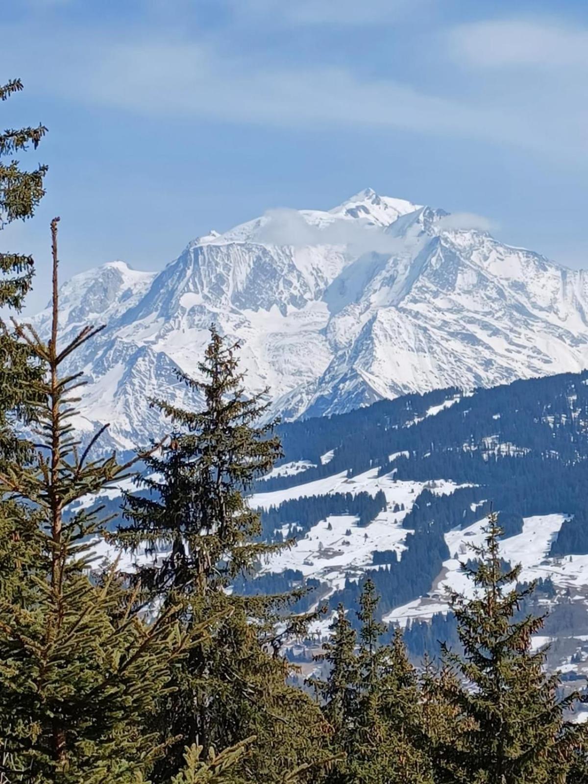 Appartement Tres Agreable Dans Belle Residence, Classe 3 Etoiles Par Le Comite Departementale Du Tourisme En Haute Garonne Bagneres-de-Luchon Ngoại thất bức ảnh